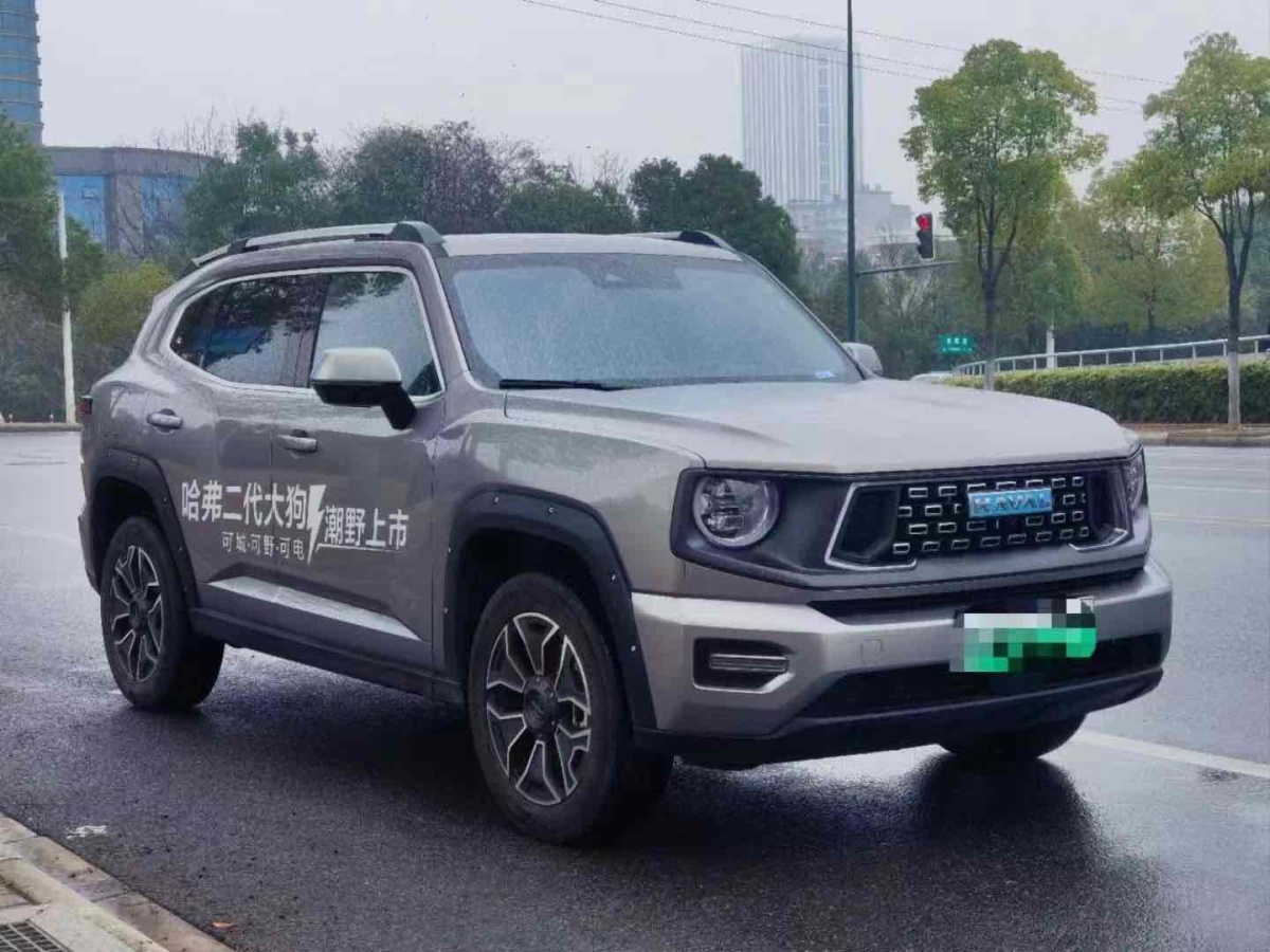 哈弗 哈弗二代大狗新能源  2023款 DHT-PHEV 105km 潮電版Plus圖片