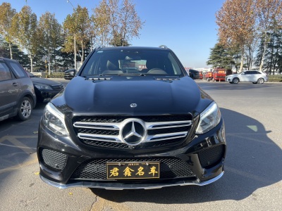 奔馳 奔馳GLE(進(jìn)口) GLE 320 4MATIC 動(dòng)感型臻藏版圖片