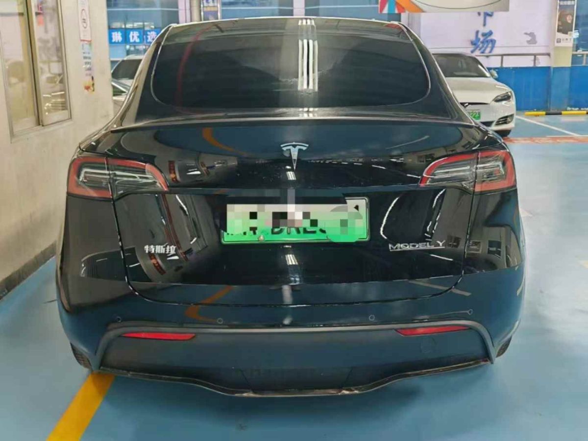 特斯拉 Model S  2023款 三電機全輪驅(qū)動 Plaid版圖片