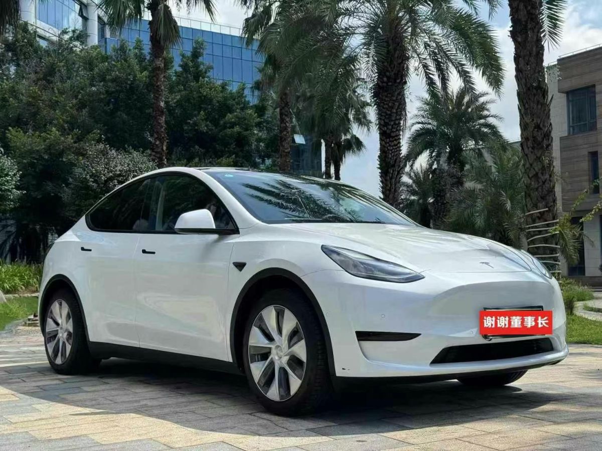 特斯拉 Model 3  2022款 Performance高性能全輪驅(qū)動(dòng)版圖片