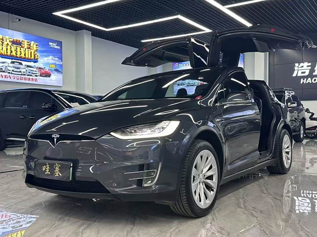 特斯拉 Model X  2016款 Model X 90D圖片