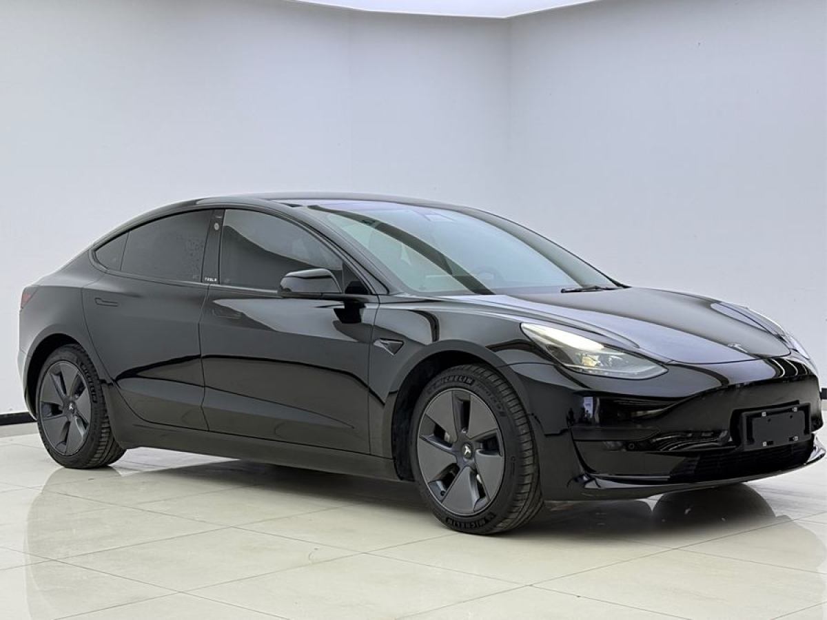 特斯拉 Model 3  2021款 改款 標(biāo)準(zhǔn)續(xù)航后驅(qū)升級版圖片