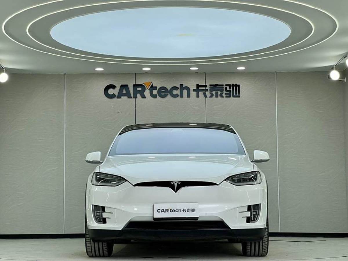 特斯拉 Model X  2020款 長(zhǎng)續(xù)航升級(jí)版圖片