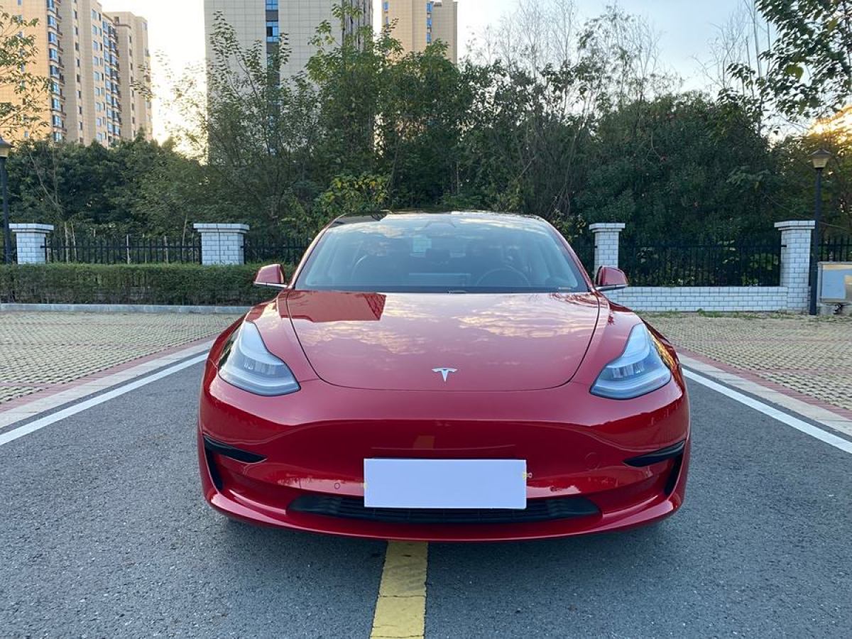 特斯拉 Model 3  2020款 改款 標(biāo)準(zhǔn)續(xù)航后驅(qū)升級(jí)版圖片