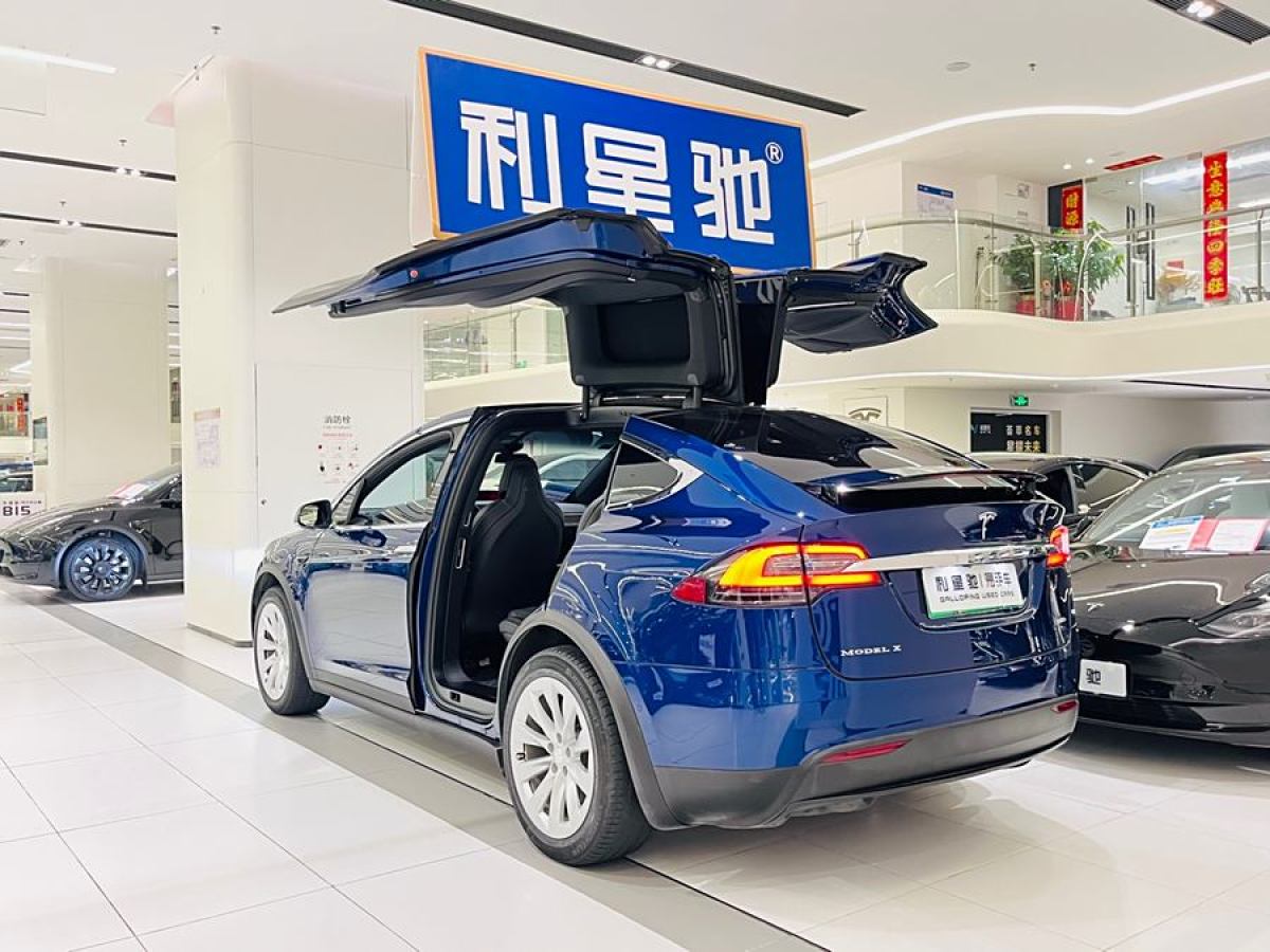 特斯拉 Model X  2017款 Model X 100D 長續(xù)航版圖片