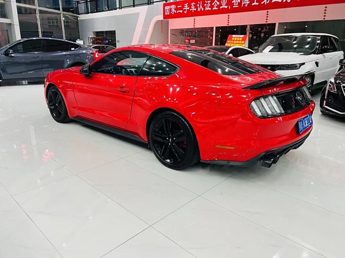 福特 Mustang  2015款 2.3T 性能版圖片