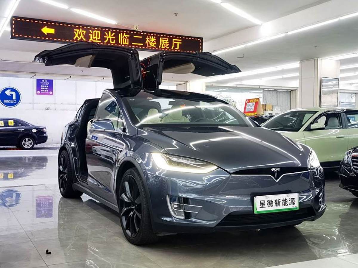 特斯拉 Model X  2020款 長續(xù)航升級(jí)版圖片