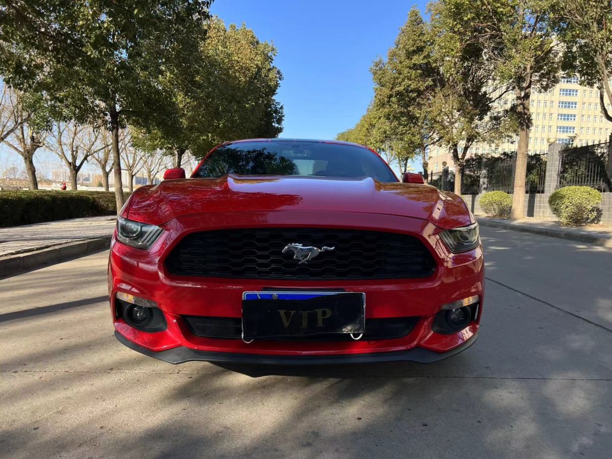 福特 Mustang  2016款 2.3T 性能版圖片