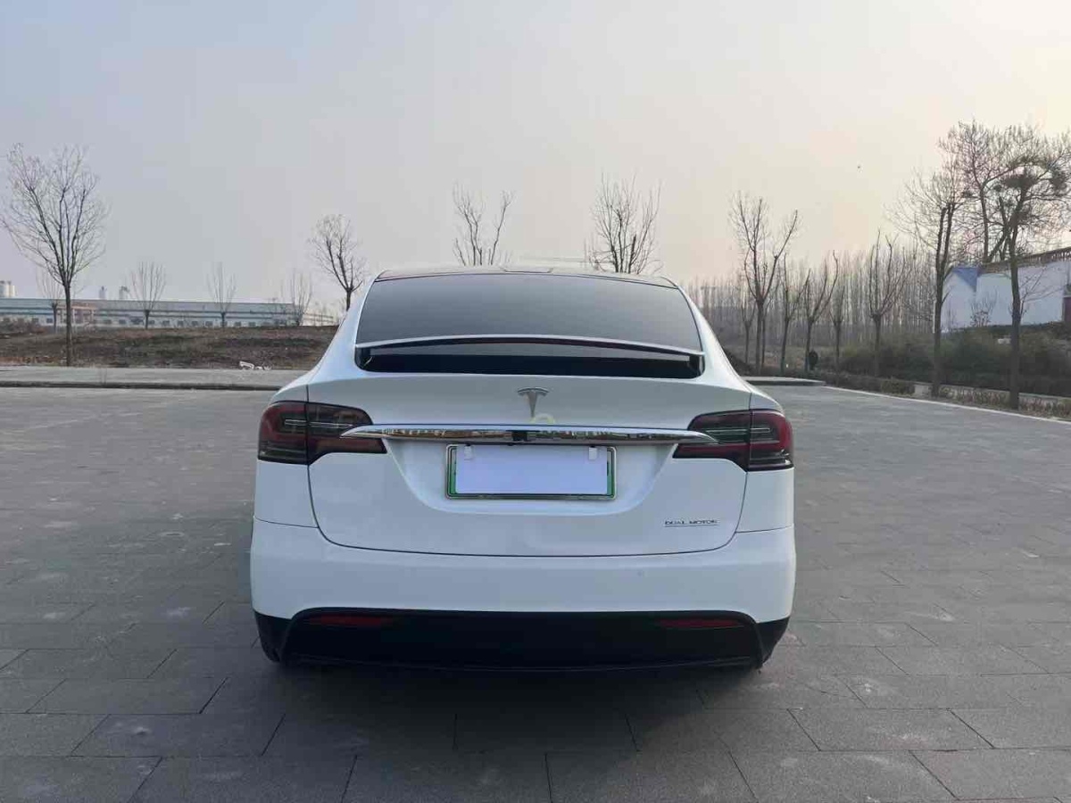 特斯拉 Model X  2019款 Performance 高性能版圖片