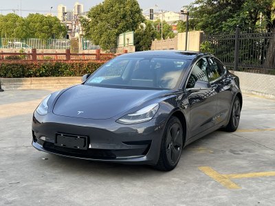 2020年6月 特斯拉 Model 3 改款 標(biāo)準(zhǔn)續(xù)航后驅(qū)升級(jí)版圖片