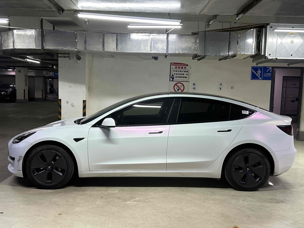 特斯拉 Model 3  2019款 標(biāo)準(zhǔn)續(xù)航后驅(qū)升級版圖片