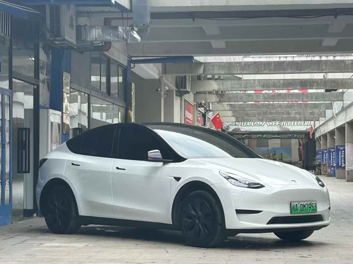 特斯拉 Model Y  2024款 Performance高性能版圖片