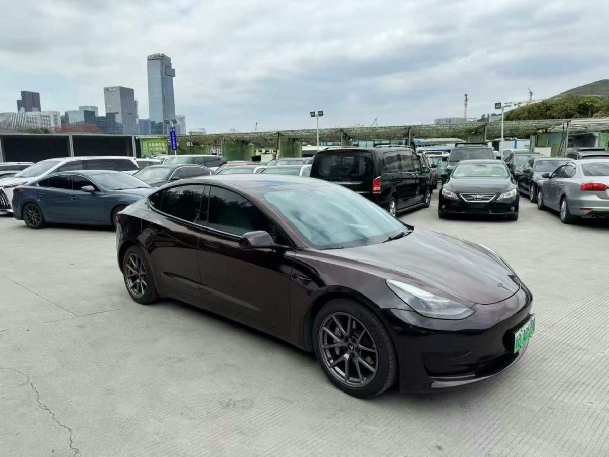 2021年6月特斯拉 Model Y  2021款 標(biāo)準(zhǔn)續(xù)航后驅(qū)版