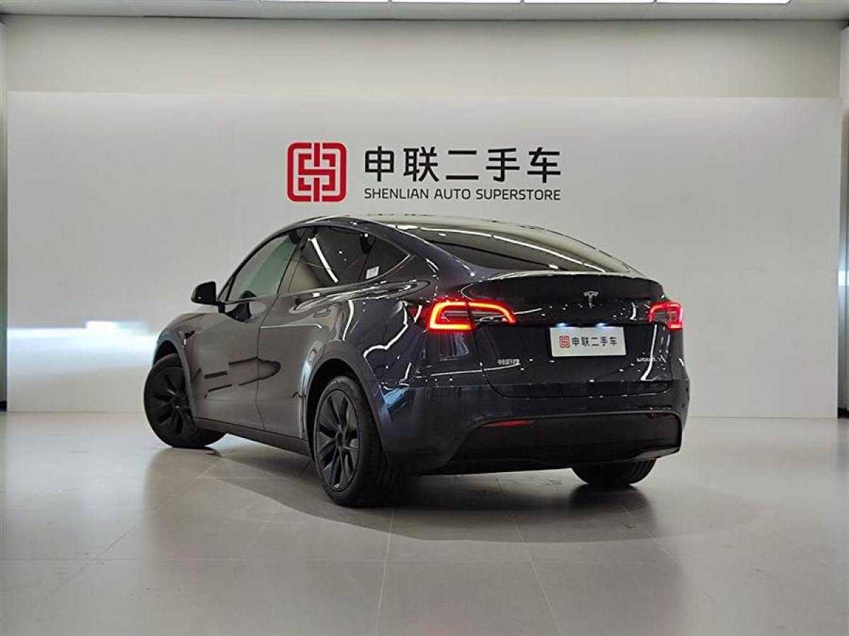 特斯拉 Model 3  2020款 改款 長續(xù)航后輪驅動版圖片