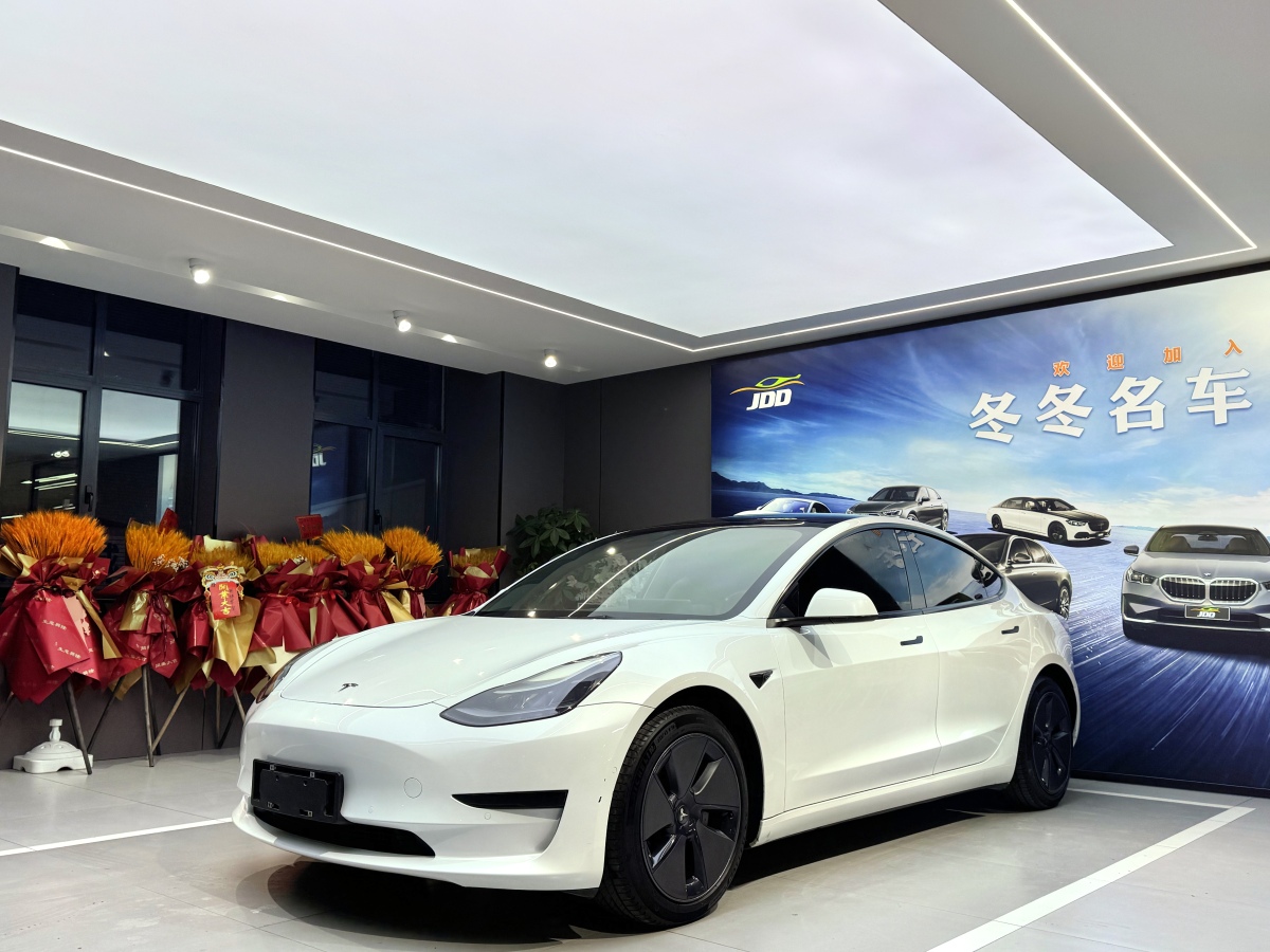 特斯拉 Model 3  2019款 標(biāo)準(zhǔn)續(xù)航后驅(qū)升級(jí)版圖片