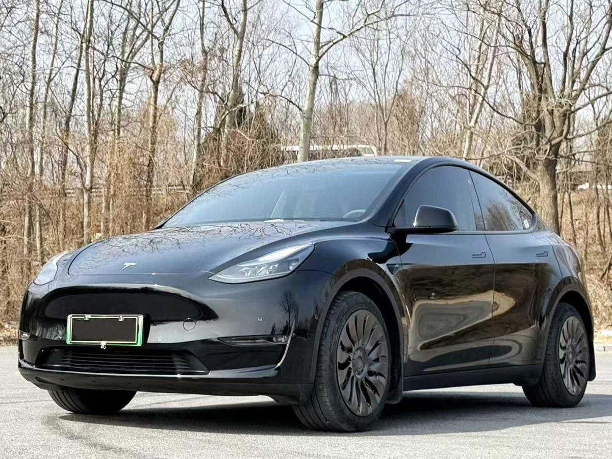 特斯拉 Model S  2023款 三電機全輪驅(qū)動 Plaid版圖片