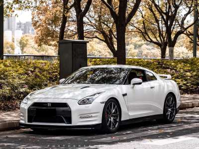 日产 GT-R(进口) 3.8T Premium Edition 棕红内饰图片