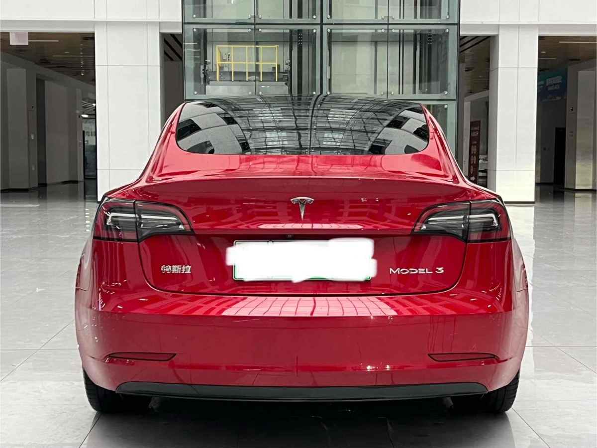 特斯拉 Model 3  2019款 標(biāo)準(zhǔn)續(xù)航后驅(qū)升級版圖片