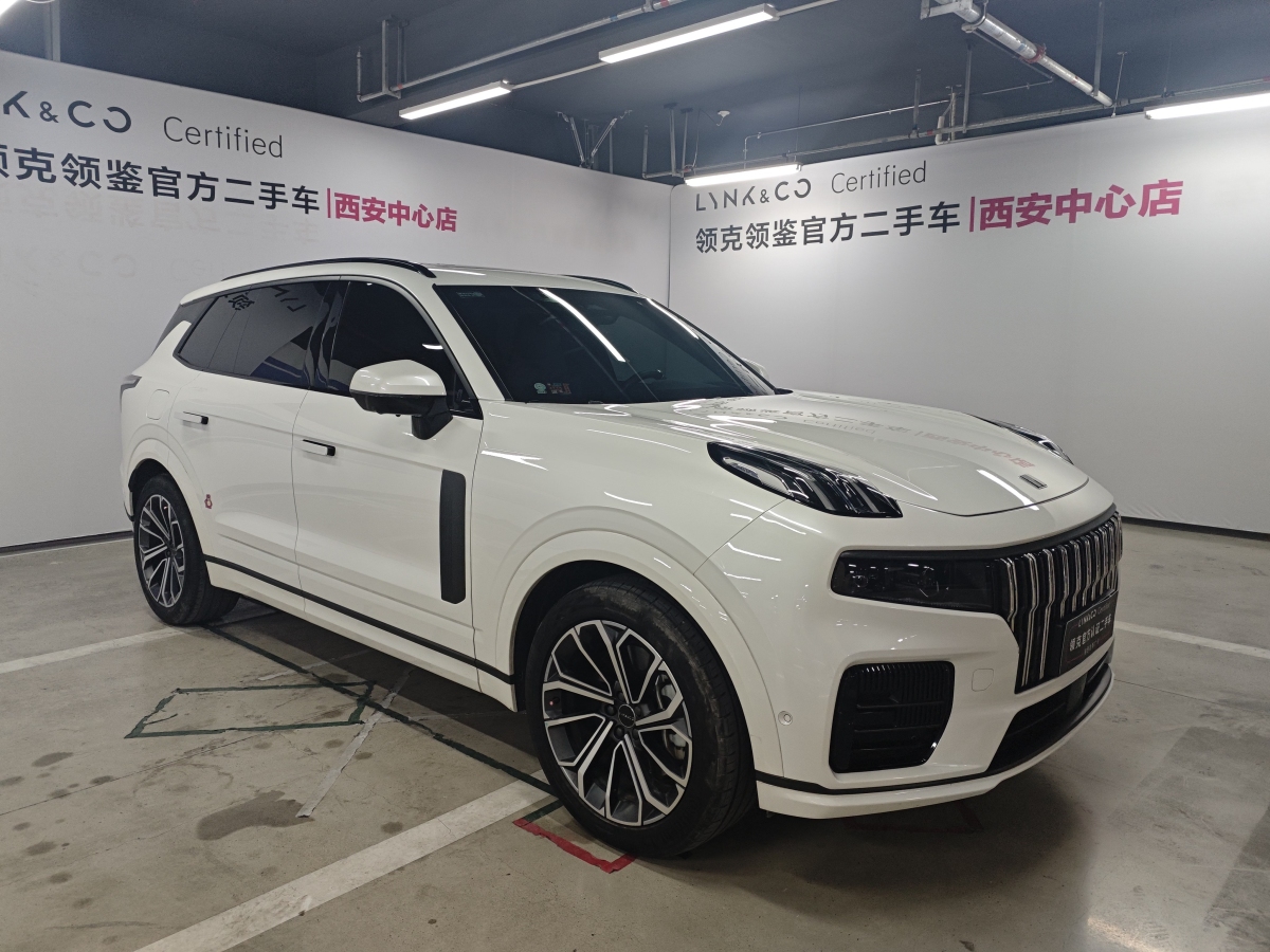 領(lǐng)克 領(lǐng)克09新能源  2021款 2.0T PHEV Halo 六座圖片