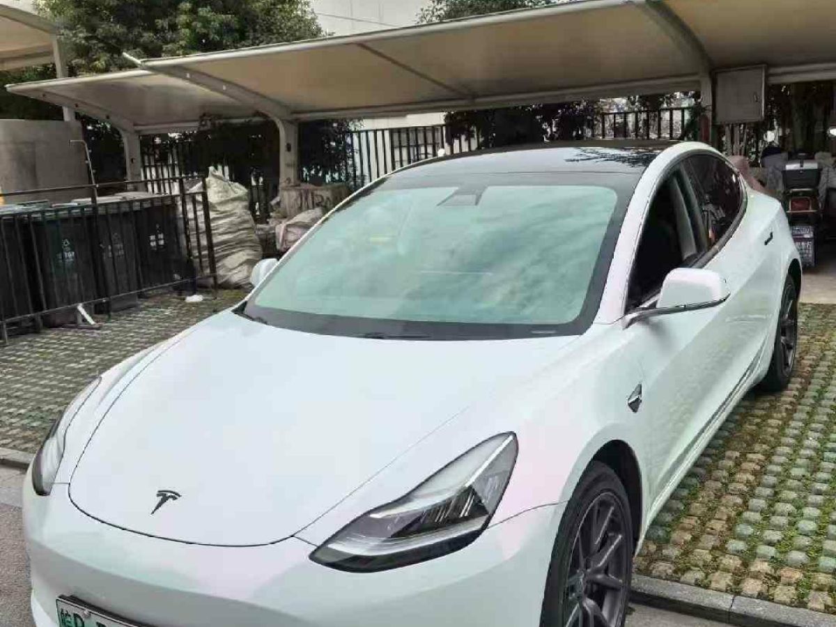 特斯拉 Model 3  2021款 標(biāo)準(zhǔn)續(xù)航后驅(qū)版圖片