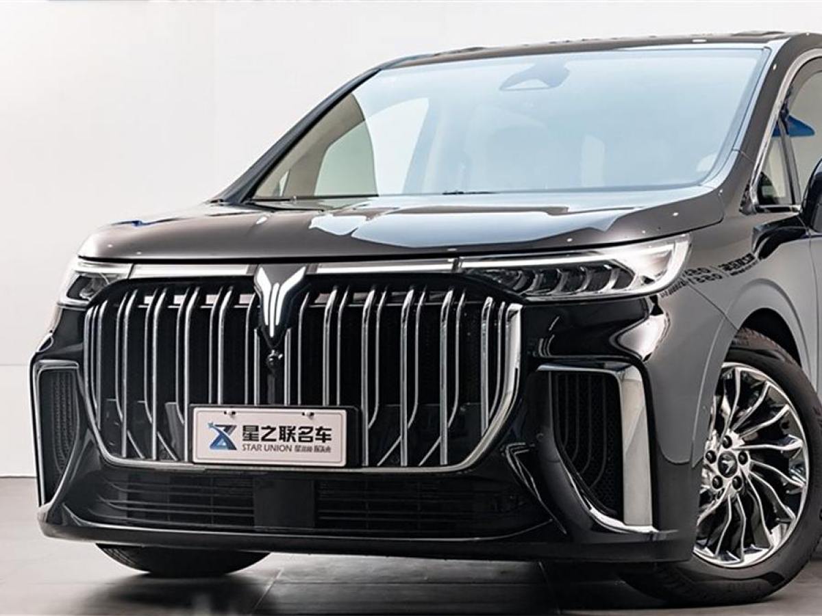 嵐圖 夢想家  2024款 PHEV 超長續(xù)航旗艦版圖片