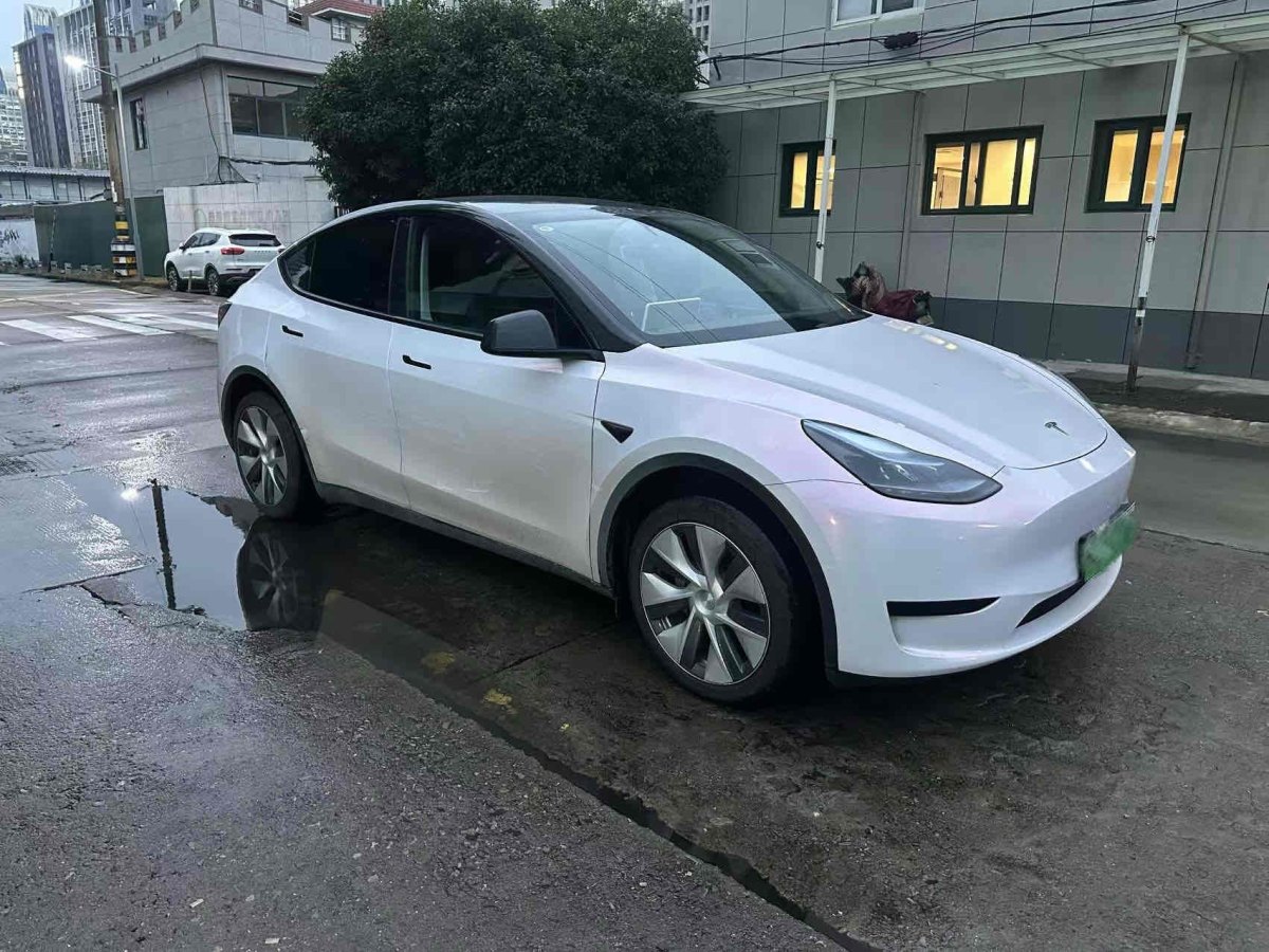 特斯拉 Model 3  2022款 后輪驅(qū)動(dòng)版圖片