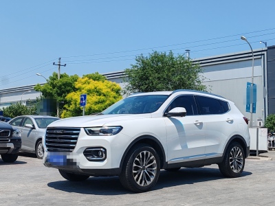 2020年8月 哈弗 H6 1.5GDIT 自動鉑金冠軍版圖片