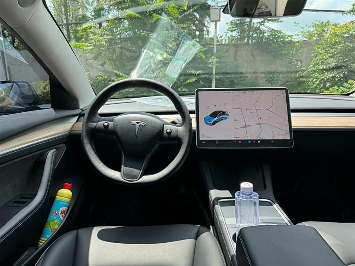 2023年6月特斯拉 Model 3  2022款 改款 后輪驅動版