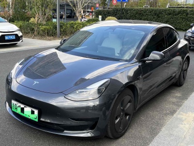 2021年4月 特斯拉 Model 3 标准续航后驱升级版图片