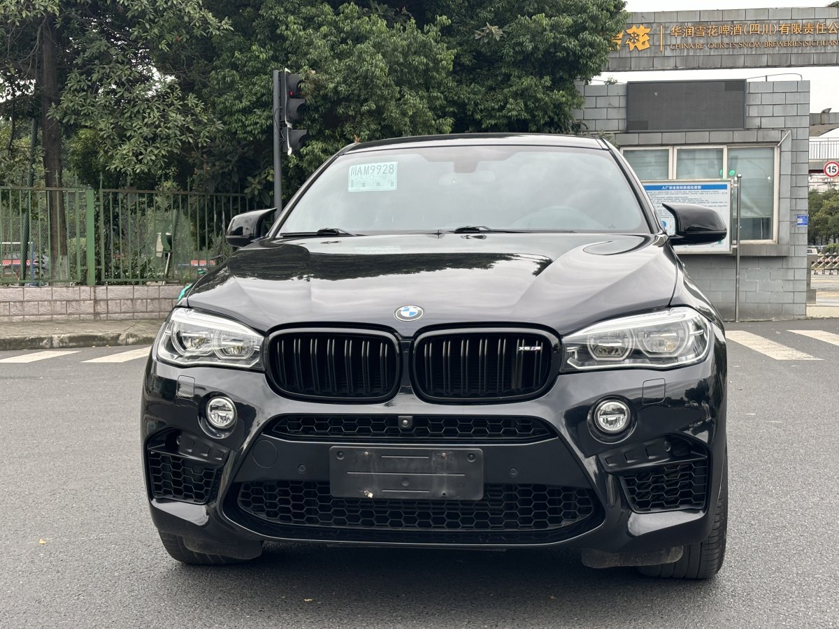 宝马 宝马X6  2019款 xDrive35i尊享型 M运动套装图片