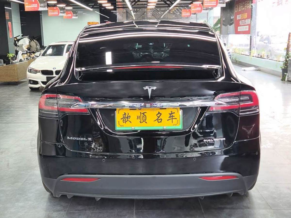 特斯拉 Model X  2019款 長續(xù)航版圖片