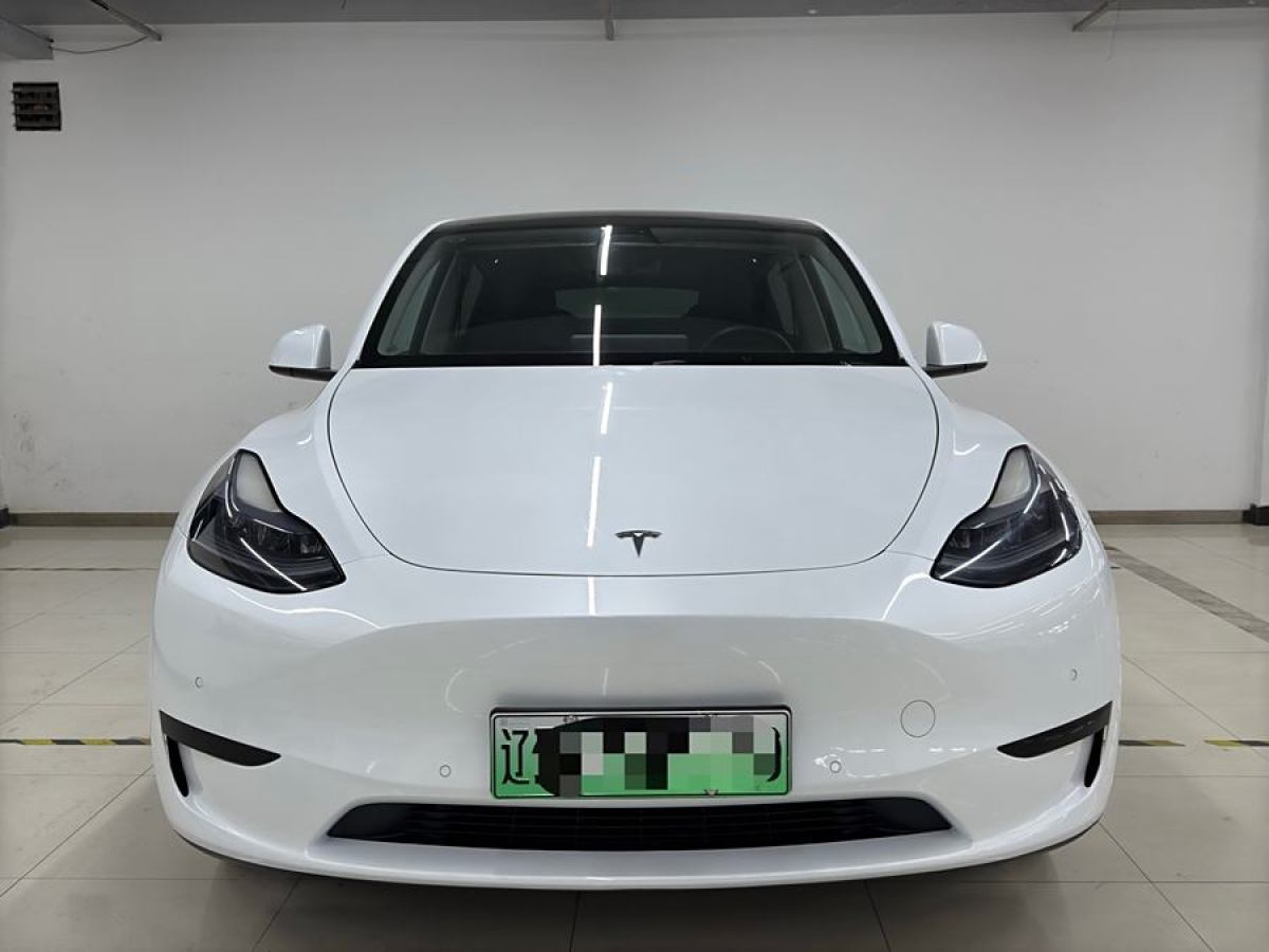 特斯拉 Model 3  2022款 后輪驅(qū)動(dòng)版圖片