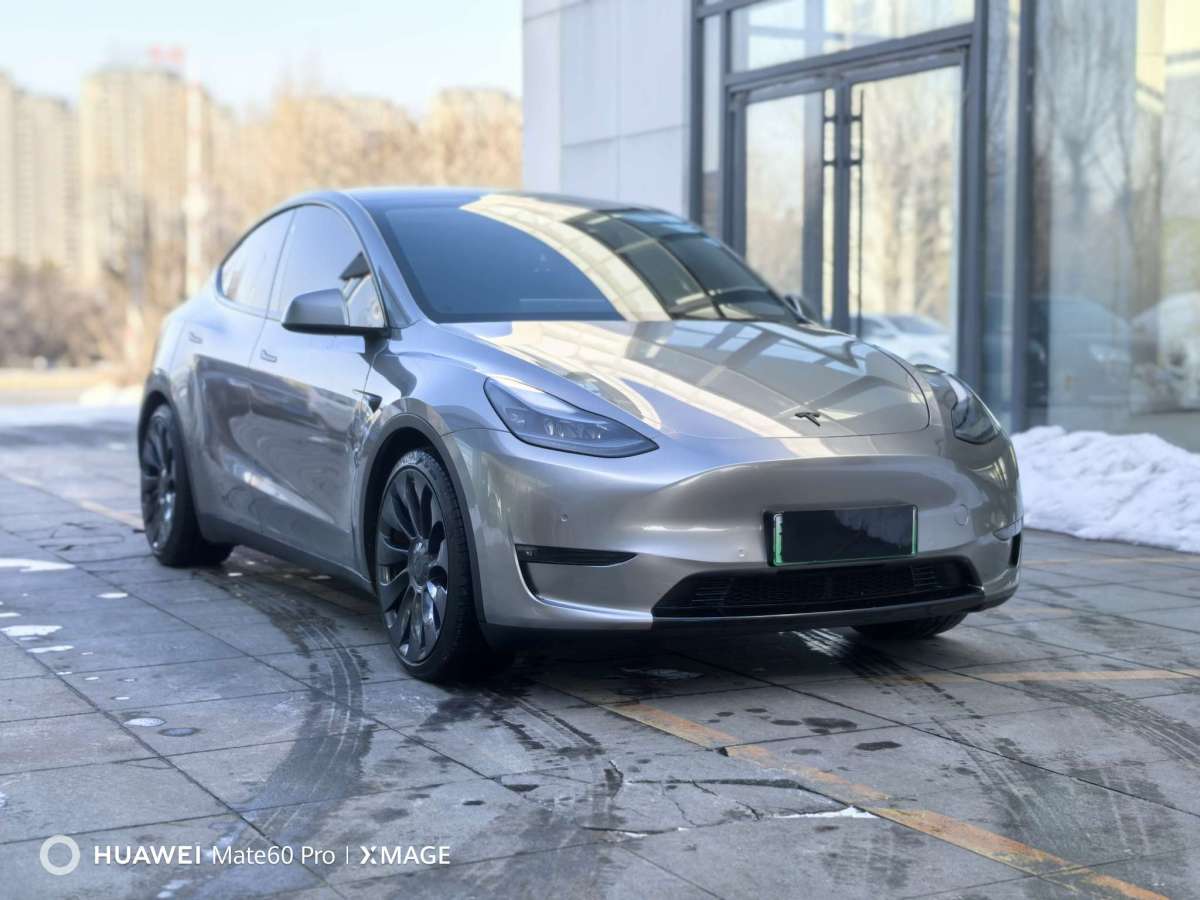 特斯拉 Model Y  2022款 Performance高性能全輪驅(qū)動版圖片