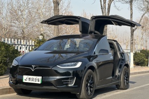 Model X 特斯拉 Model X 75D