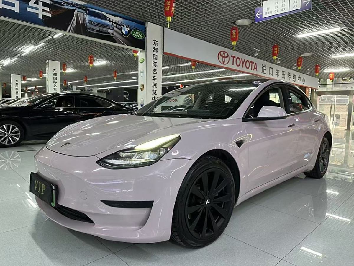 2022年1月特斯拉 Model 3  2021款 標準續(xù)航后驅(qū)升級版 3D6