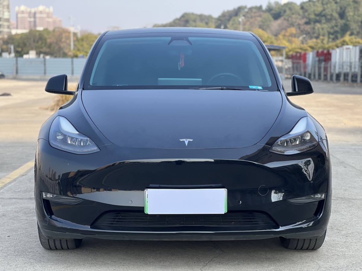 特斯拉 Model 3  2021款 改款 標(biāo)準(zhǔn)續(xù)航后驅(qū)升級(jí)版圖片