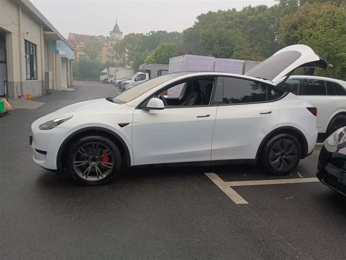 特斯拉 Model Y  2024款 后輪驅動版圖片