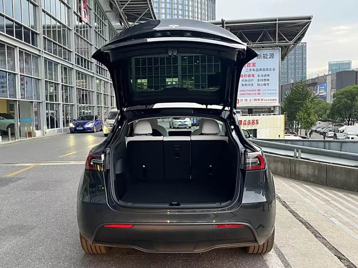 特斯拉 Model Y  2020款 改款 長續(xù)航后輪驅(qū)動(dòng)版圖片