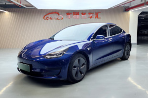 Model 3 特斯拉 标准续航后驱升级版