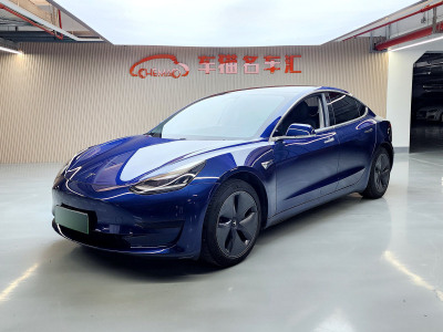 2020年9月 特斯拉 Model 3 標(biāo)準(zhǔn)續(xù)航后驅(qū)升級(jí)版圖片