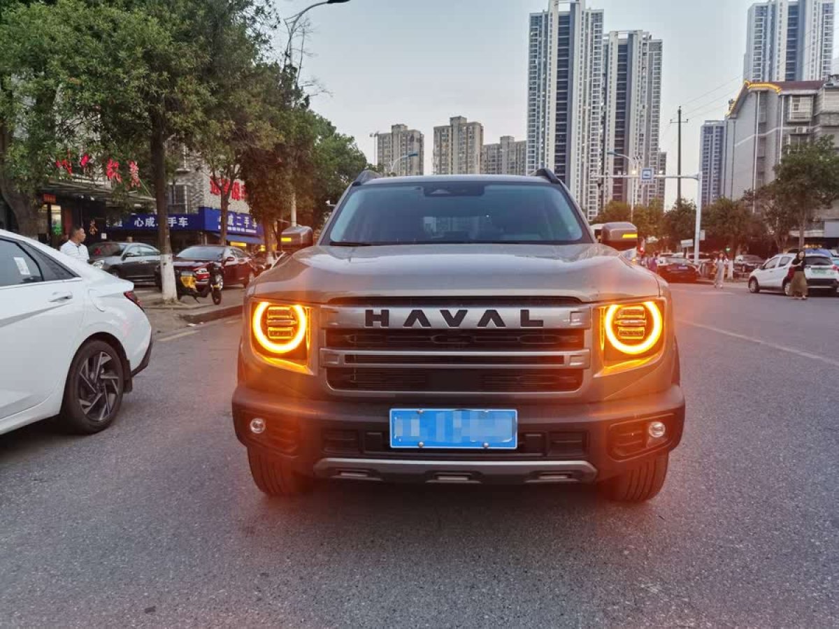 哈弗 哈弗大狗  2024款 1.5T DCT邊牧版圖片