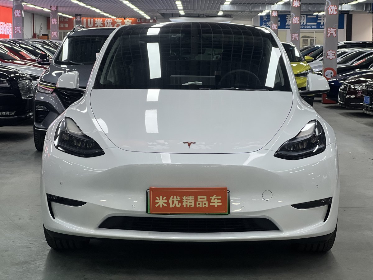 特斯拉 Model 3  2022款 Performance高性能全輪驅(qū)動版圖片