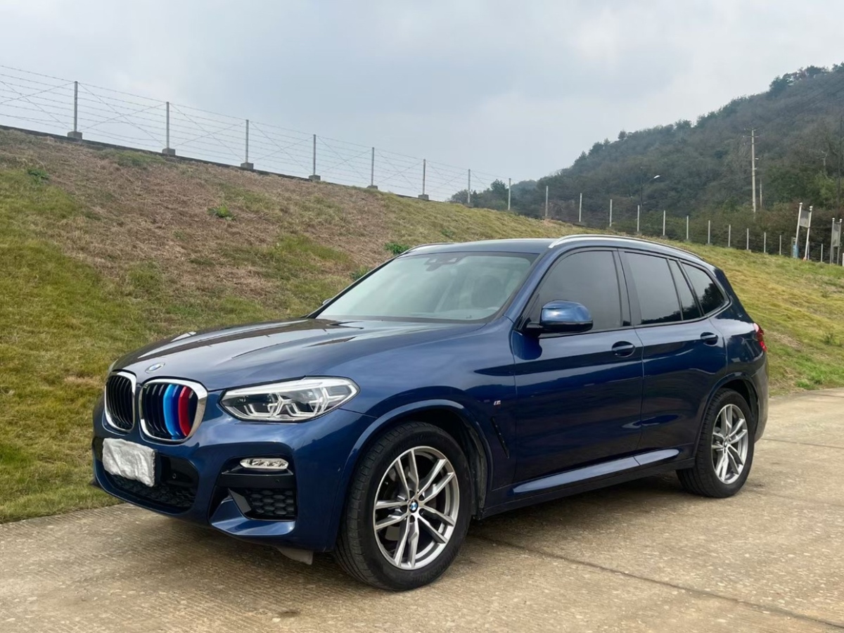 2019年02月宝马 宝马X3  2019款  xDrive25i M运动套装