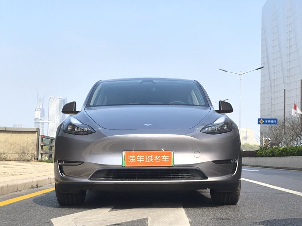 特斯拉 Model Y  2024款 長續(xù)航全輪驅動版圖片