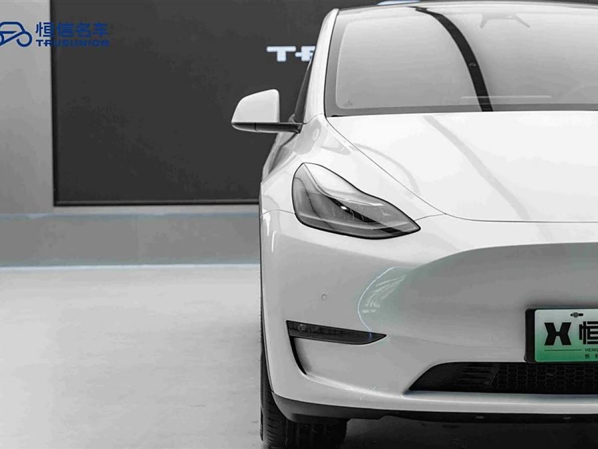 特斯拉 Model Y  2022款 改款 長續(xù)航全輪驅(qū)動(dòng)版圖片