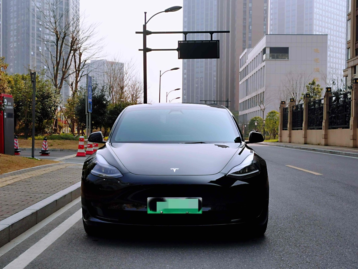 特斯拉 Model 3  2019款 標(biāo)準(zhǔn)續(xù)航后驅(qū)升級(jí)版圖片