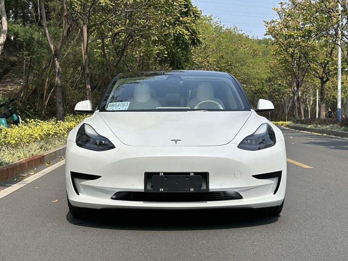 特斯拉 Model 3  2021款 改款 標(biāo)準續(xù)航后驅(qū)升級版圖片