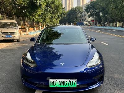 2020年7月 特斯拉 Model 3 改款 標(biāo)準(zhǔn)續(xù)航后驅(qū)升級(jí)版圖片