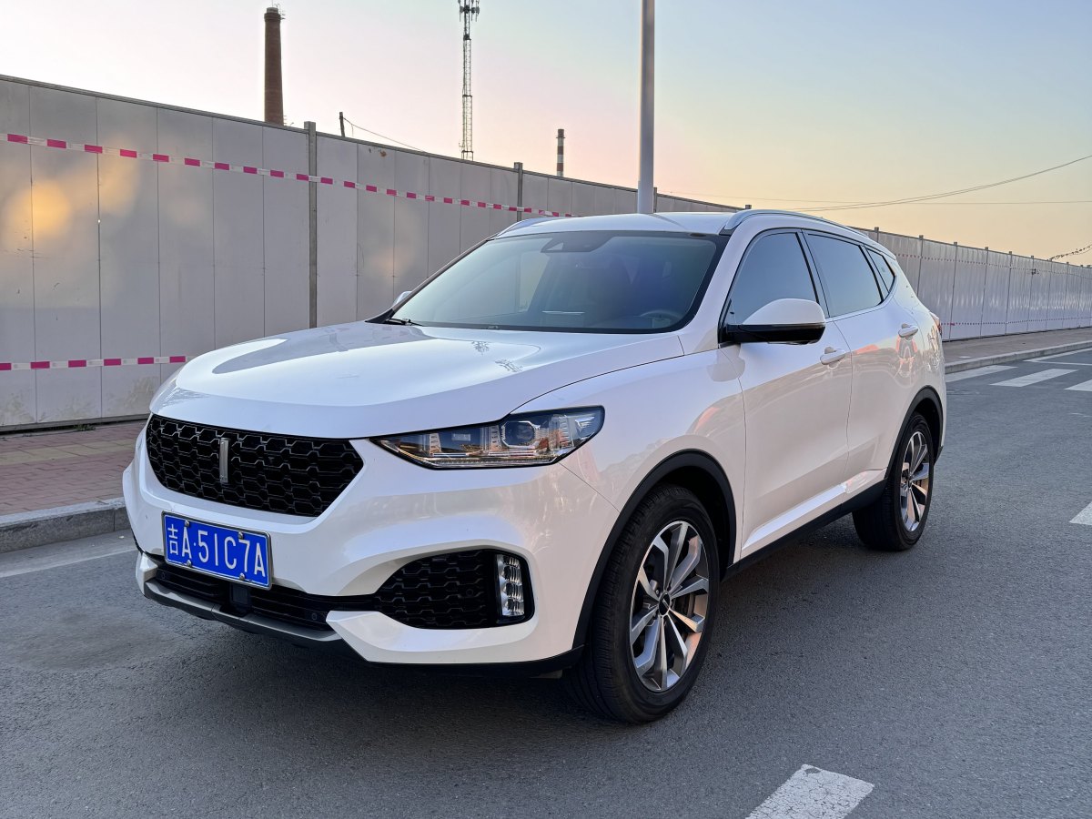 WEY VV6  2018款 2.0T 兩驅(qū)超豪型圖片