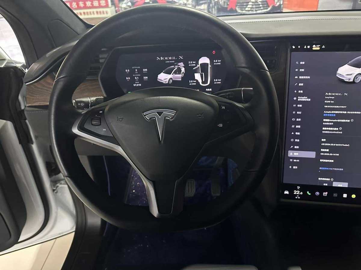 2020年1月特斯拉 Model X  2019款 長續(xù)航版